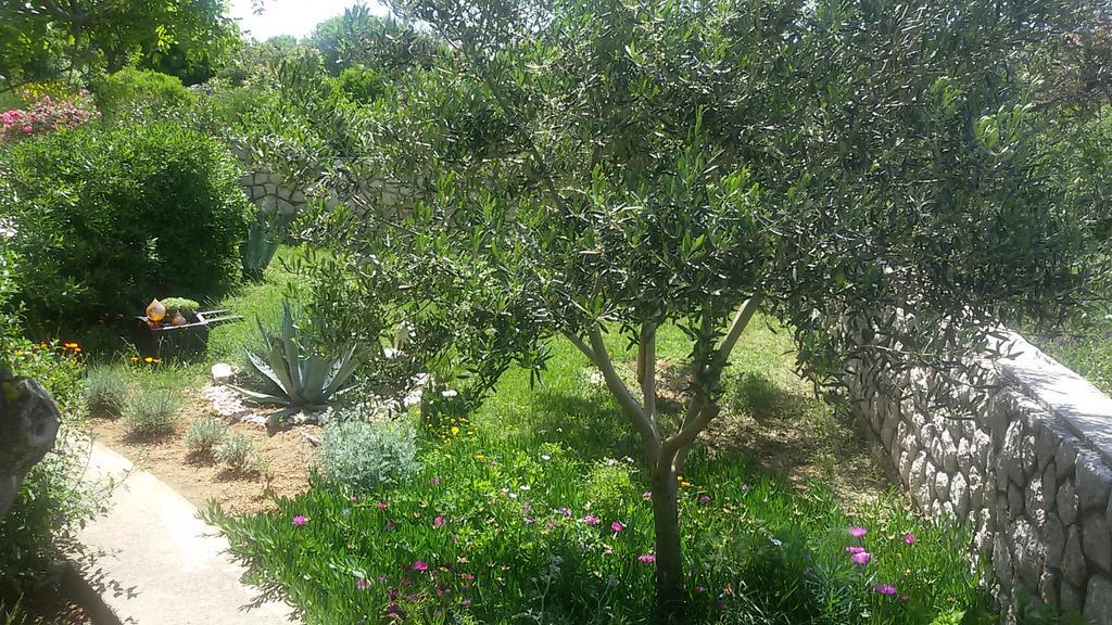 Bed & Breakfast Jugo Novalja Exterior foto